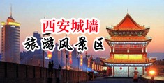 免费看小骚逼让大鸡巴操的大片中国陕西-西安城墙旅游风景区